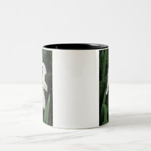 Tasse 2 Couleurs Iris blanc