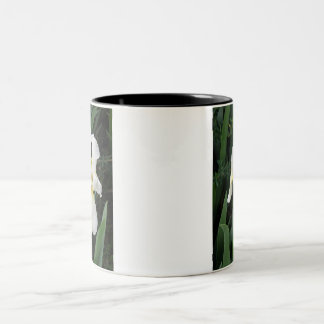 Tasse 2 Couleurs Iris blanc