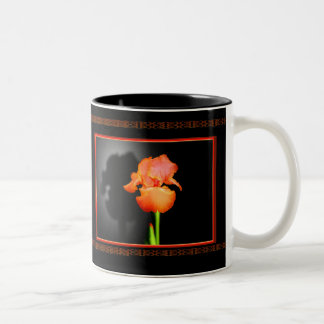 Tasse 2 Couleurs Iris simple