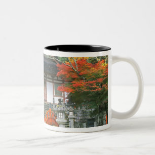 Tasse 2 Couleurs Japon, Nara, temple Ryuzenji