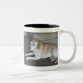 Tasse 2 Couleurs Je suis BaileyThe PhilosopherI'm…