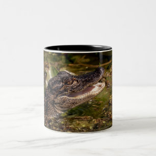 Tasse 2 Couleurs Jeune Alligator