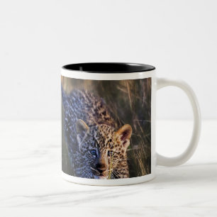 Tasse 2 Couleurs Jeune léopard Panthera Pardus