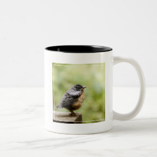 Tasse 2 Couleurs Jeune Robin