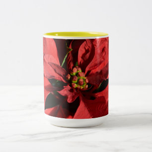 Tasse 2 Couleurs Joyeux Noël Rouge Curly Poinsettia