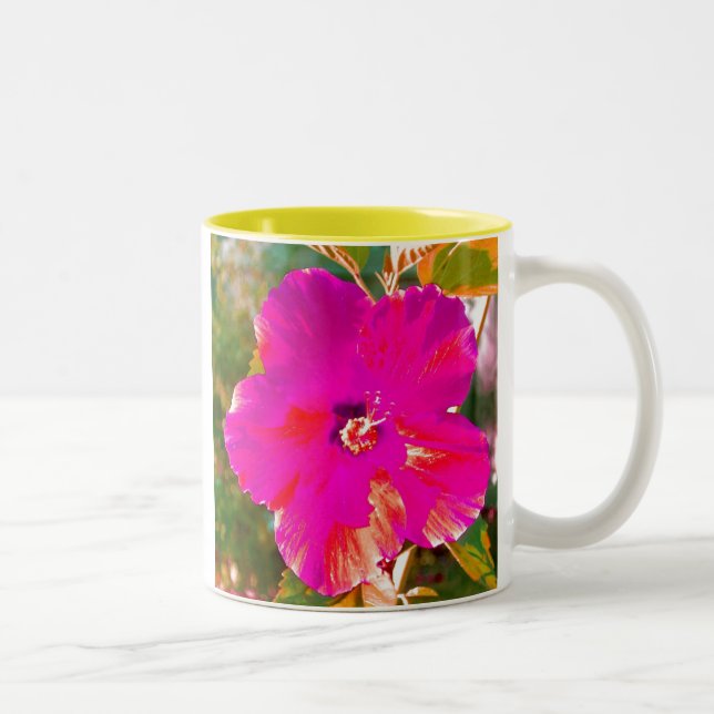 Tasse 2 Couleurs Ketmie (Droit)