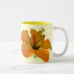 Tasse 2 Couleurs Ketmie orange et jaune