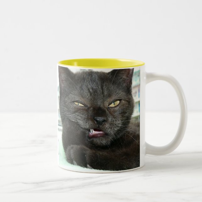 TASSE 2 COULEURS KIS KIS (Droit)