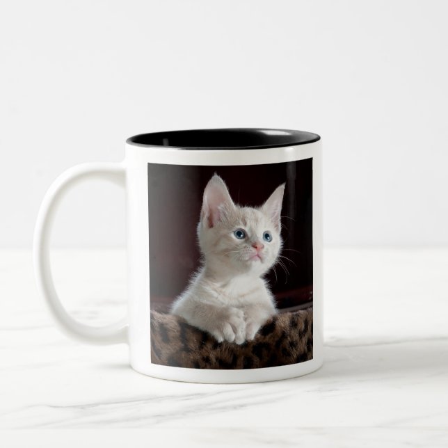 Tasse 2 Couleurs kittens (Gauche)