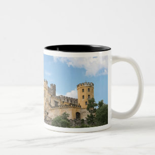Tasse 2 Couleurs Koblenz, Allemagne, Château de Stolzenfels, Schlos