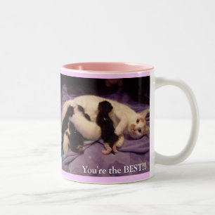 Tasse 2 Couleurs La meilleure babysitter des mondes ! ! !