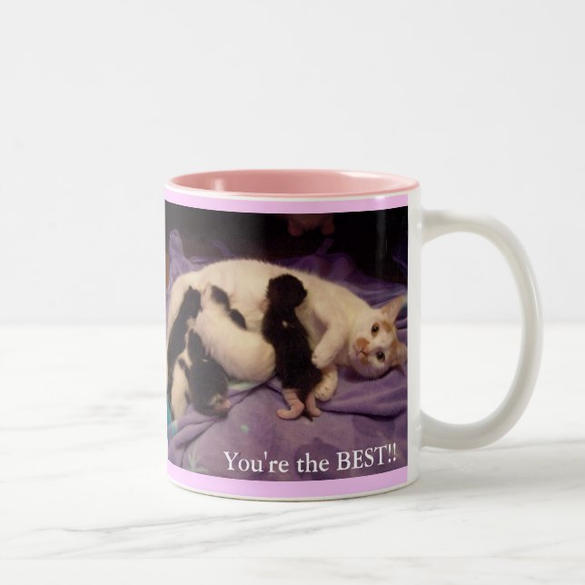 Tasse 2 Couleurs La meilleure babysitter des mondes ! ! ! (Droit)