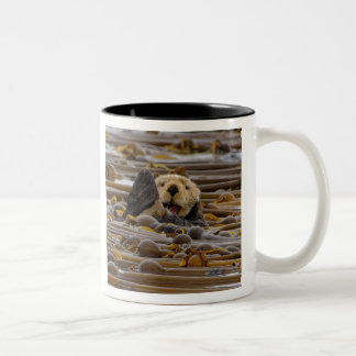 Tasse 2 Couleurs La Petite Loupe De Mer