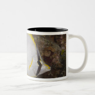 Tasse 2 Couleurs La vie sous-marine, POISSON : Spotfin coloré