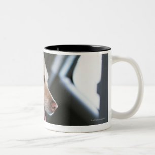 Tasse 2 Couleurs Labrador retriever