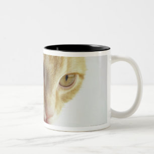 Tasse 2 Couleurs Lait boisson de chat