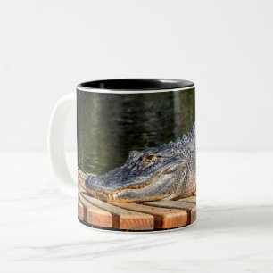 Tasse 2 Couleurs L'alligator chez Homosassa jaillit parc d'état de