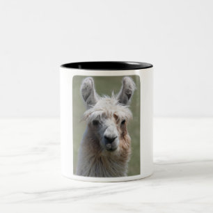 Tasse 2 Couleurs Lama ! ! !