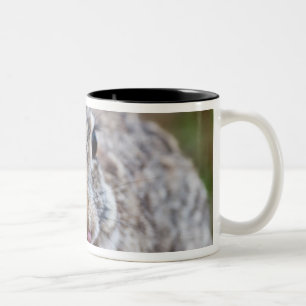 Tasse 2 Couleurs Lapin de lapin du Texas