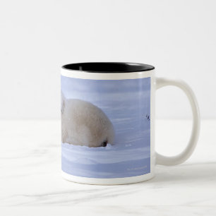 Tasse 2 Couleurs Le Canada