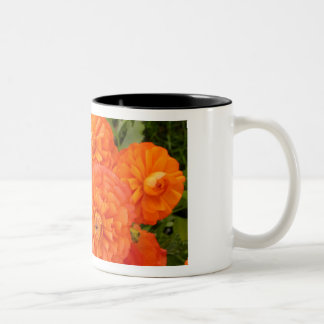 Tasse 2 Couleurs Le jardin de l'amitié