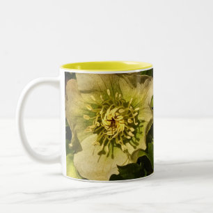 Tasse 2 Couleurs Lenten Rose Hellebore