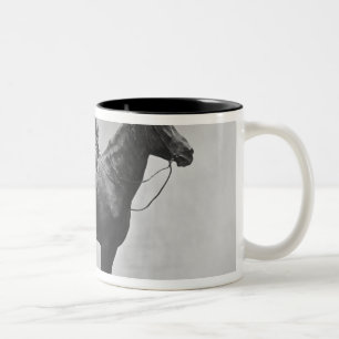 Tasse 2 Couleurs Léon Tolstoï montant Delire
