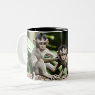 Tasse 2 Couleurs Les bébés singes dans la nature