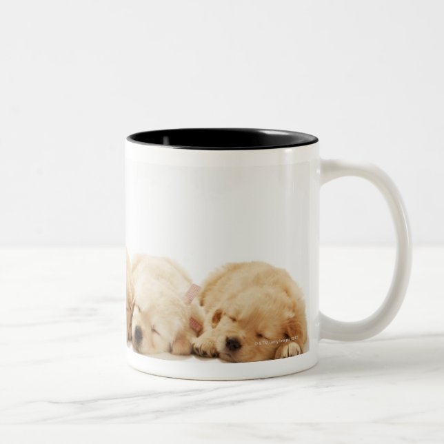 Tasse 2 Couleurs Les chiots du golden retriever (Droit)