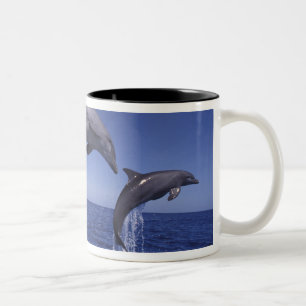 Tasse 2 Couleurs Les dauphins des Caraïbes