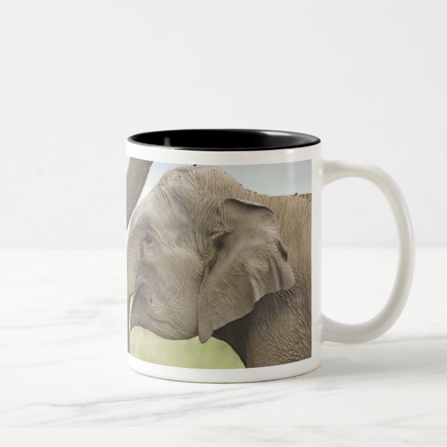 Tasse 2 Couleurs Les éléphants d'Asie indienne jouent à la lutte (Droit)