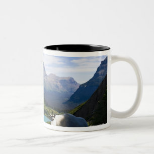 Tasse 2 Couleurs Les Etats-Unis, Montana, parc national de glacier,