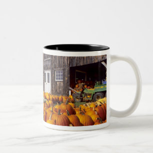 Tasse 2 Couleurs Les Etats-Unis, Vermont, Shelbourne, citrouilles
