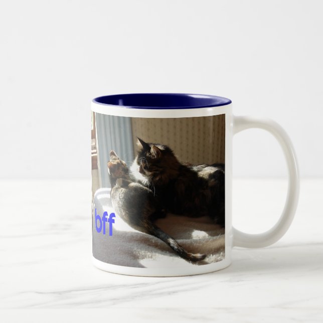 Tasse 2 Couleurs Les meilleurs amis attaquent pour toujours (Droit)