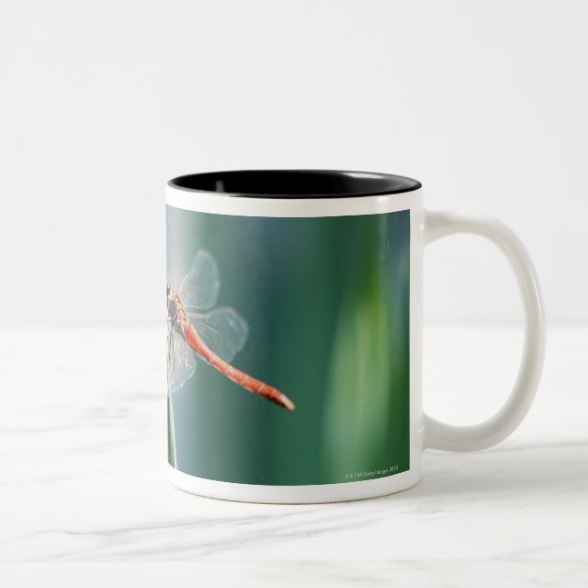 Tasse 2 Couleurs Libellule (Droit)