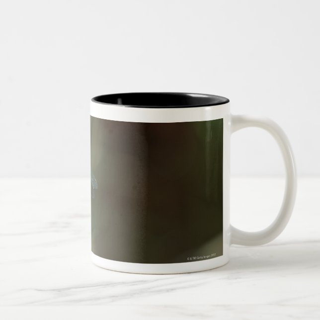 Tasse 2 Couleurs Libellule 5 (Droit)