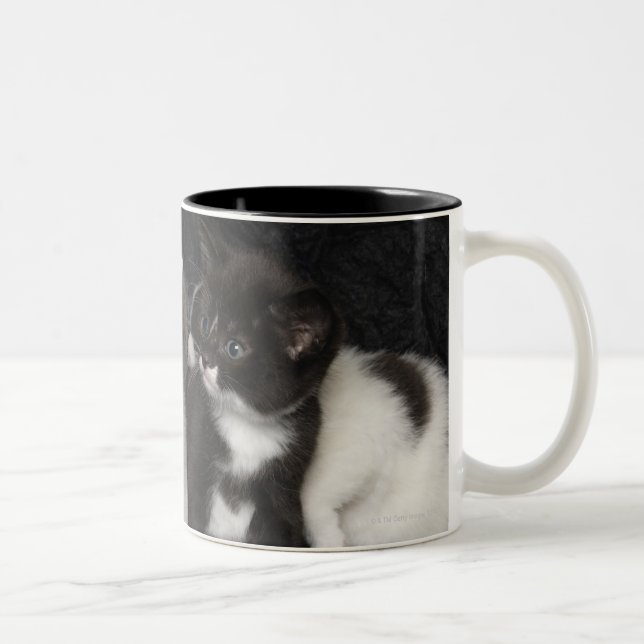 Tasse 2 Couleurs Londres, Angleterre, R-U 3 (Droit)