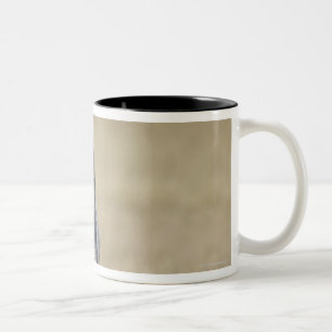 Tasse 2 Couleurs Loup (lupus de Canis) fonctionnant vers