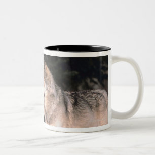 Tasse 2 Couleurs Loups gris