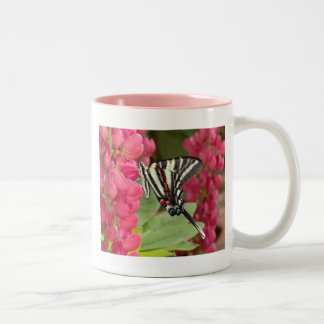 Tasse 2 Couleurs Machaon de zèbre