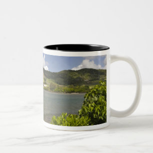 Tasse 2 Couleurs Maurice, Sud de Maurice, Grand Sable,