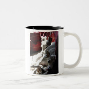 Tasse 2 Couleurs "Meilleurs amis" photo de lévrier italien