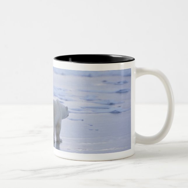 Tasse 2 Couleurs Mère et CUB d'ours blanc (Droit)