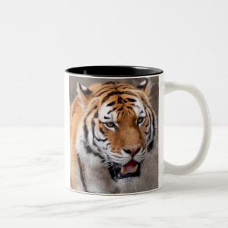 Tasse 2 Couleurs merveille aux yeux verts