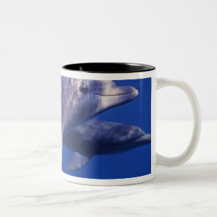 Tasse 2 Couleurs Mexique, Cozumel. Grand dauphin, Tursiops 2