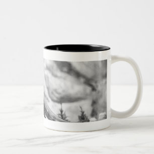 Tasse 2 Couleurs Modèle du rex B&W de tyrannosaurus