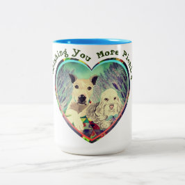 Tasse 2 Couleurs Mon Souhait Pour Vous
