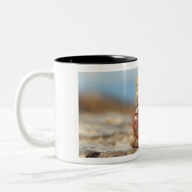 Tasse 2 Couleurs muqueuse (Gauche)