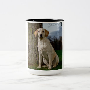 Tasse 2 Couleurs Musique du Labrador