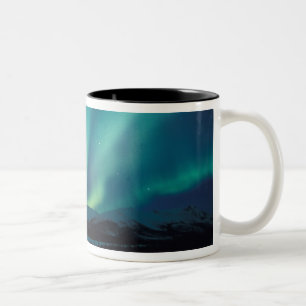 Tasse 2 Couleurs NA, États-Unis, Alaska, Brooks Range, rideaux ver